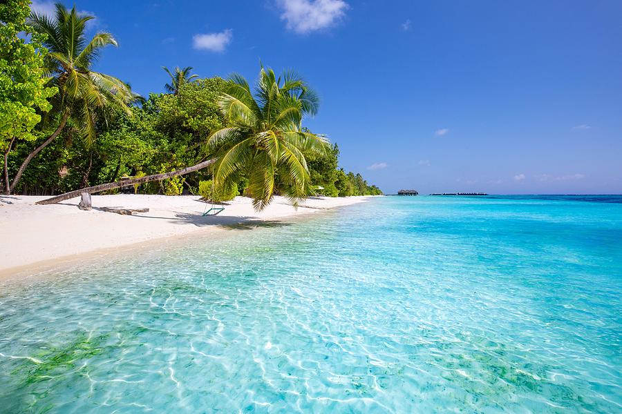 Tropical Beach Background As Summer Photograph by Levente Bodo - Fine ...