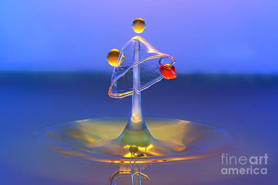 Water Drop Impact #40 Photograph by Frank Fox/science Photo Library