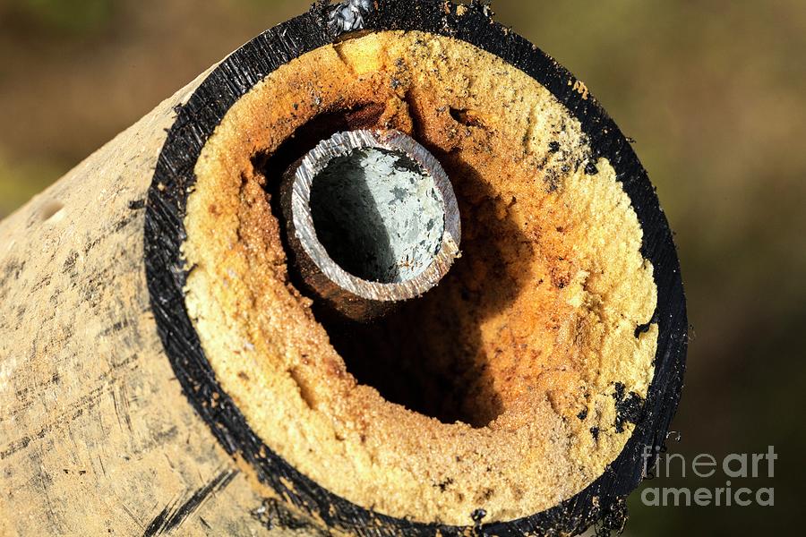 40 Year Old Natural Hot Water Pipe Photograph by Martyn F. Chillmaid/science Photo Library