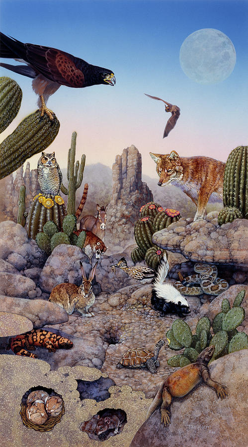 407 Desert Painting by Tim Knepp