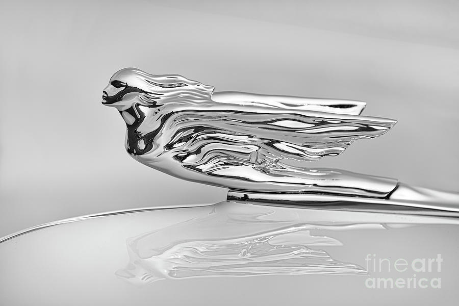41 Cadillac Hood Ornament #41 Photograph by Dennis Hedberg