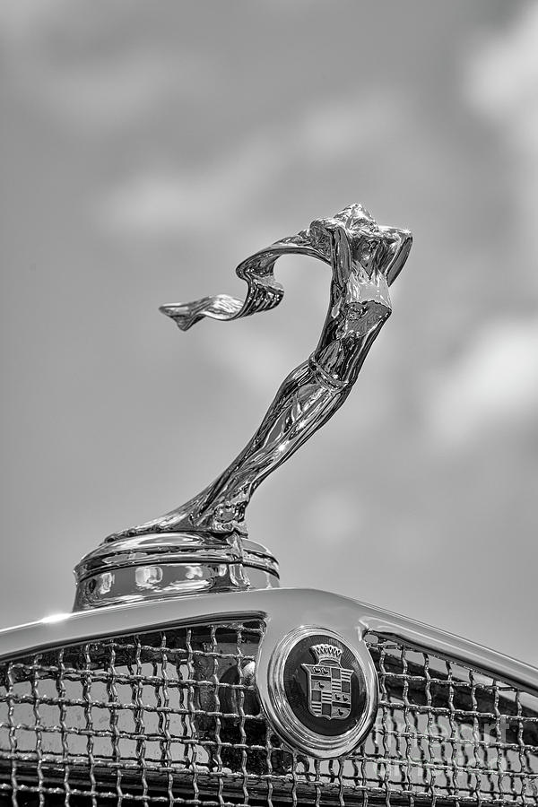 31 Cadillac Ornament #31 Photograph by Dennis Hedberg