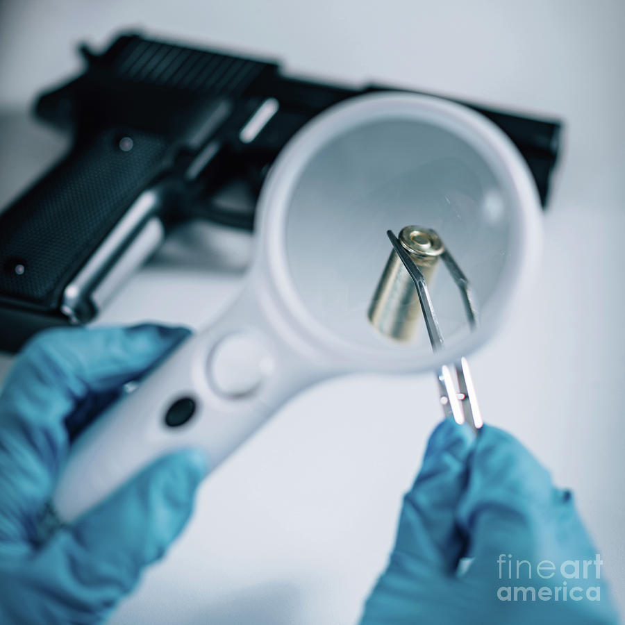 Forensics Expert Examining Crime Scene Evidence Photograph By Microgen Images Science Photo Library