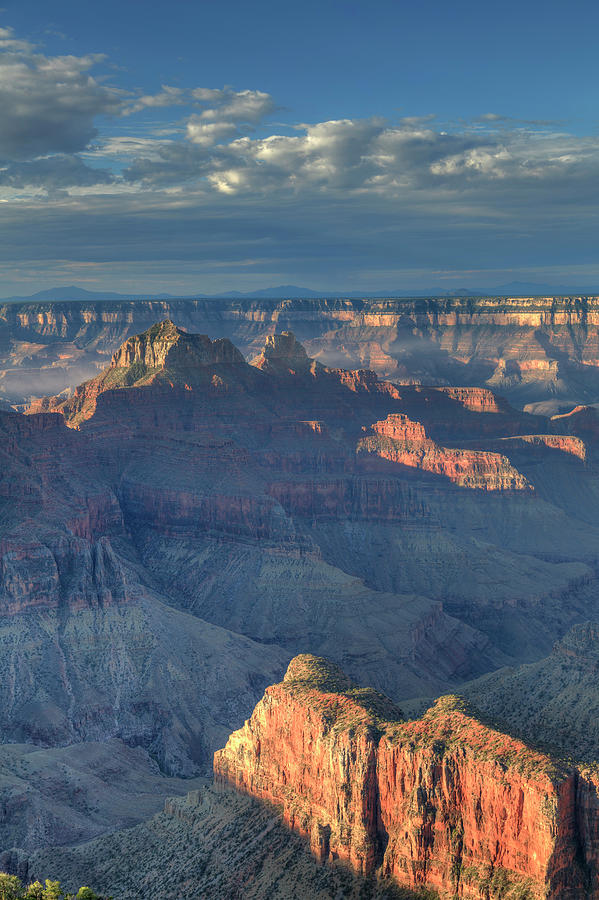 Grand Canyon National Park #41 Photograph by Michele Falzone