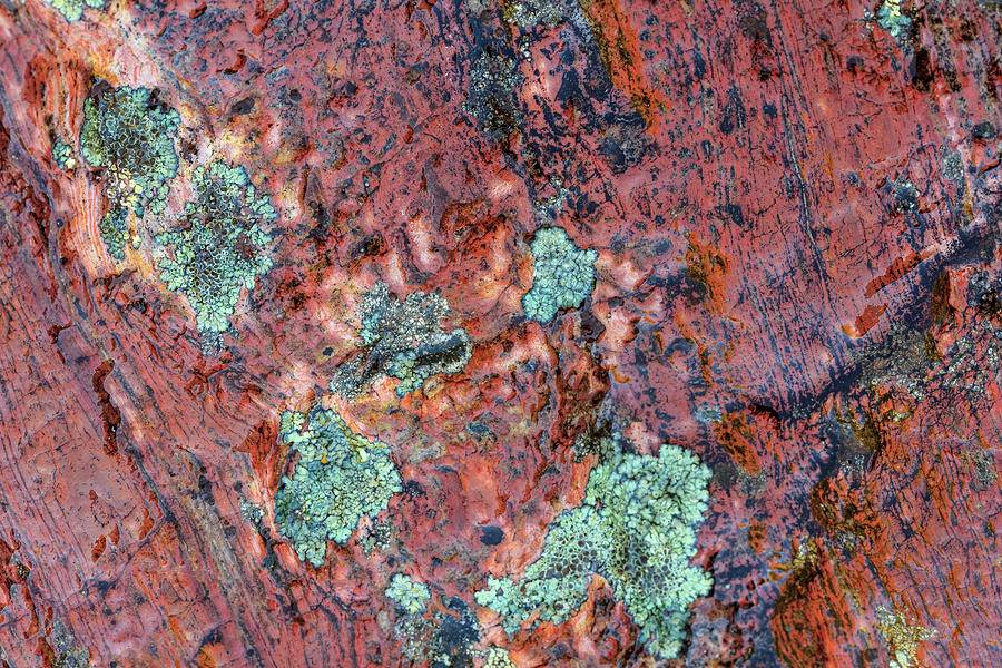 Abstract Photograph - Large Naturally Polished Rock 41 by Stuart Westmorland Abstract Photograph - Large Naturally Polished Rock 41 by Stuart Westmorland