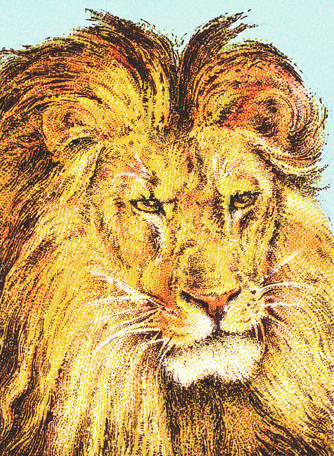 Jungle Drawing - Lion #41 by CSA Images