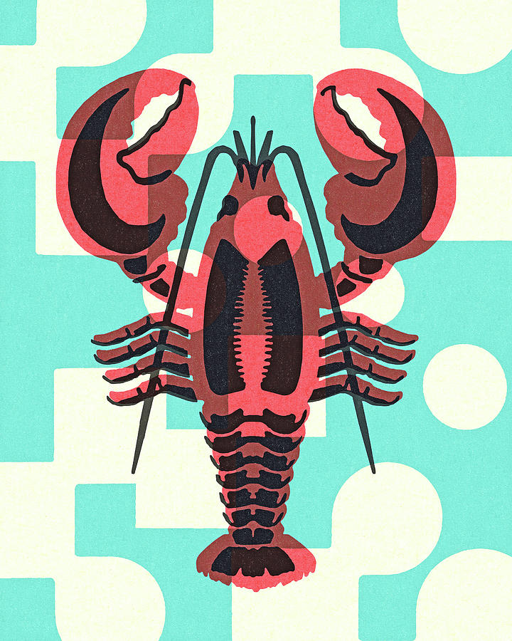 Vintage Drawing - Lobster #41 by CSA Images