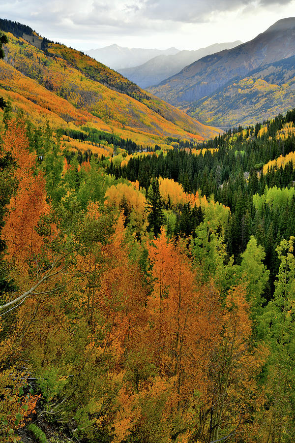 Red Mountain Pass Fall Colors #41 Photograph by Ray Mathis
