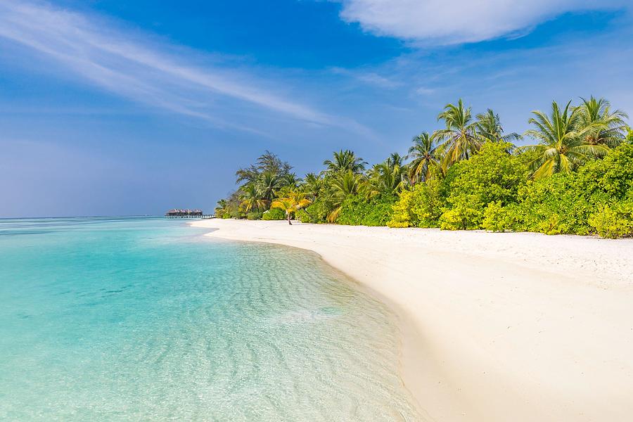 Tropical Beach Background As Summer Photograph by Levente Bodo - Fine ...