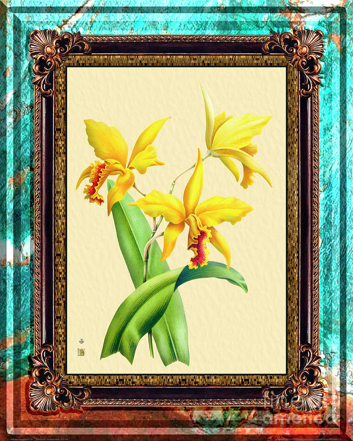 Vintage Orchid Antique Design Marble Caribbean-blue Mixed Media