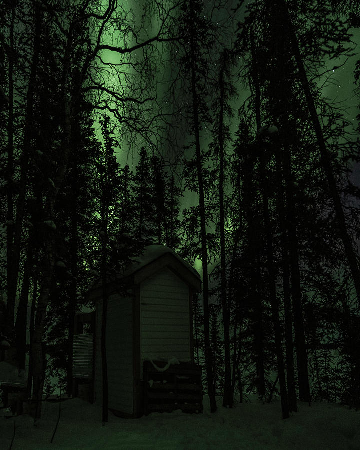 Northern Lights by Laura Hedien Northern Lights by Laura Hedien