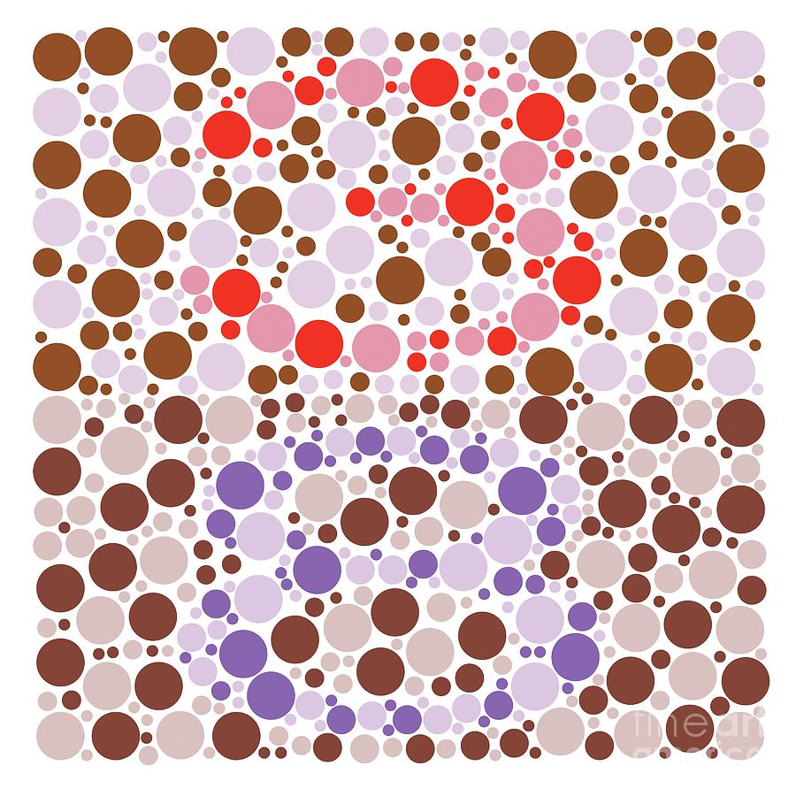 Colour Blindness Test Chart Photograph By Chongqing Tumi Technology Ltd