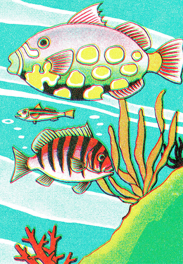 Fish Drawing - Fish #43 by CSA Images