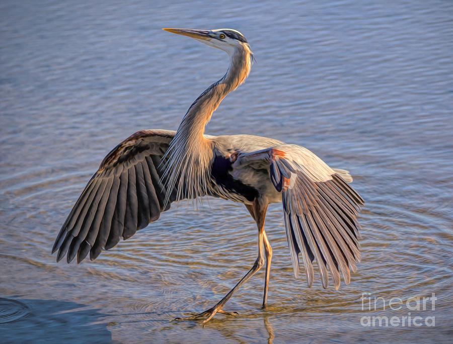 Great Blue Heron #44 Photograph by Paulette Thomas