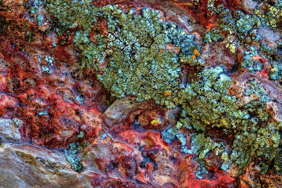 Abstract Photograph - Large, Naturally Polished Rock by Stuart Westmorland Abstract Photograph - Large, Naturally Polished Rock by Stuart Westmorland