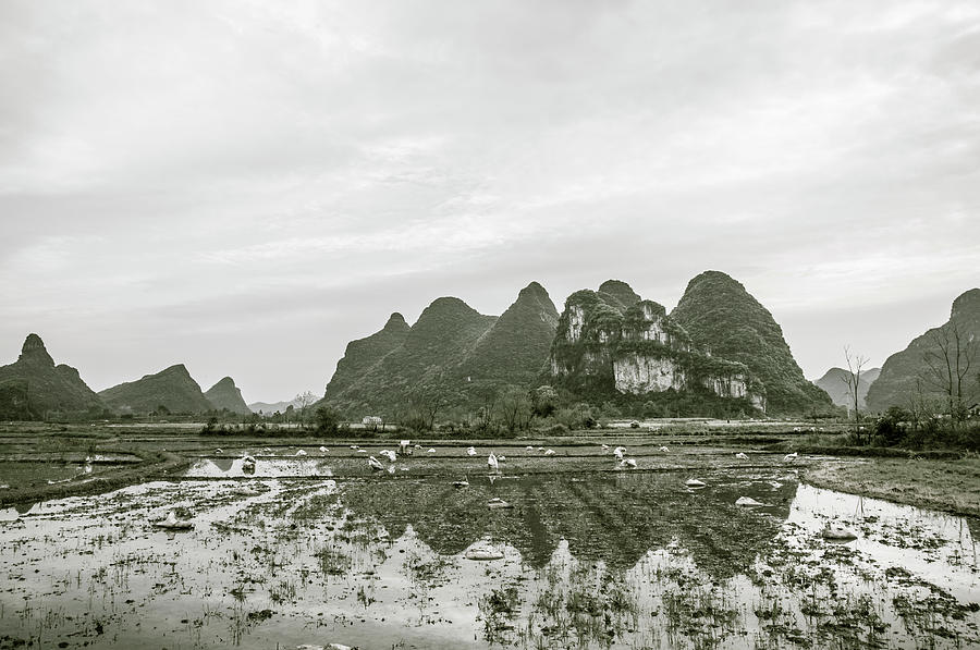 The mountains and countryside scenery in spring #43 Photograph by Carl Ning