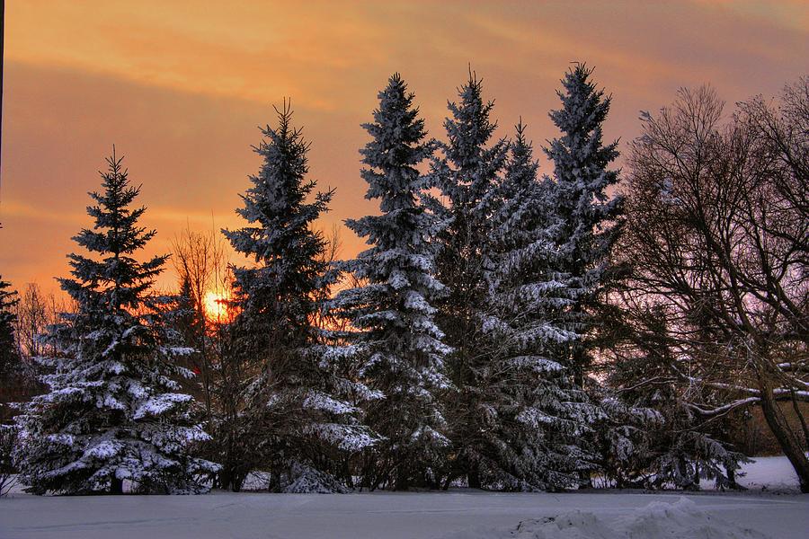 4.30 pm December sunset #430 Photograph by David Matthews