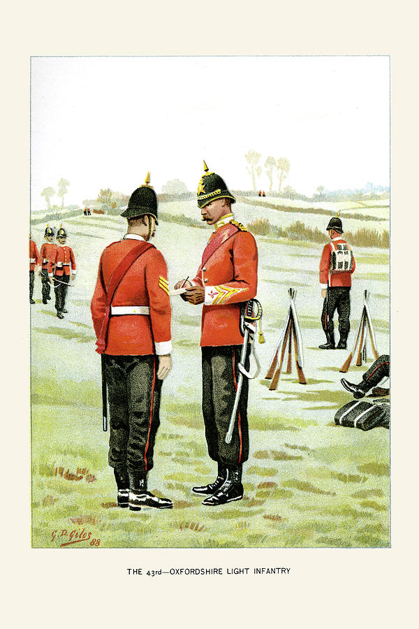 Queen Painting - 43rd Oxfordshire Light Infantry by Walter Richards