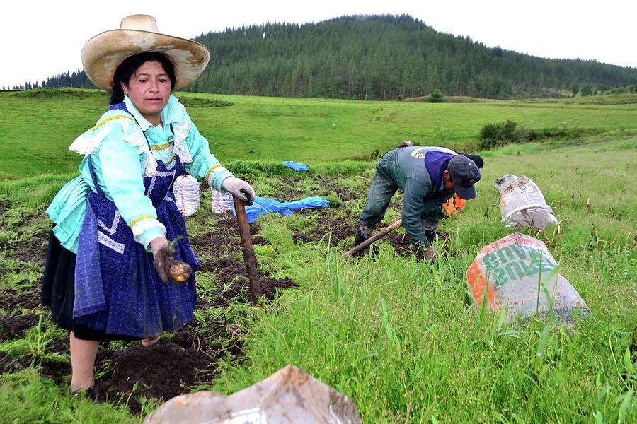 Field Photograph - Cajamarca - Peru by Carlos Mora Field Photograph - Cajamarca - Peru by Carlos Mora