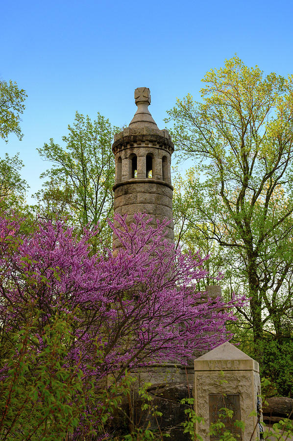 44th Redbud by Dan Urban 44th Redbud by Dan Urban
