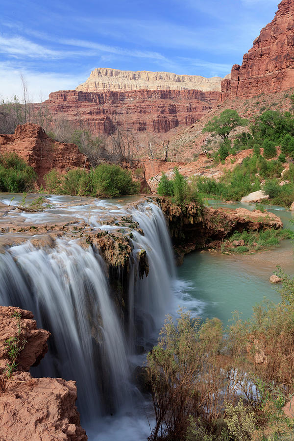 Grand Canyon National Park #45 Photograph by Michele Falzone