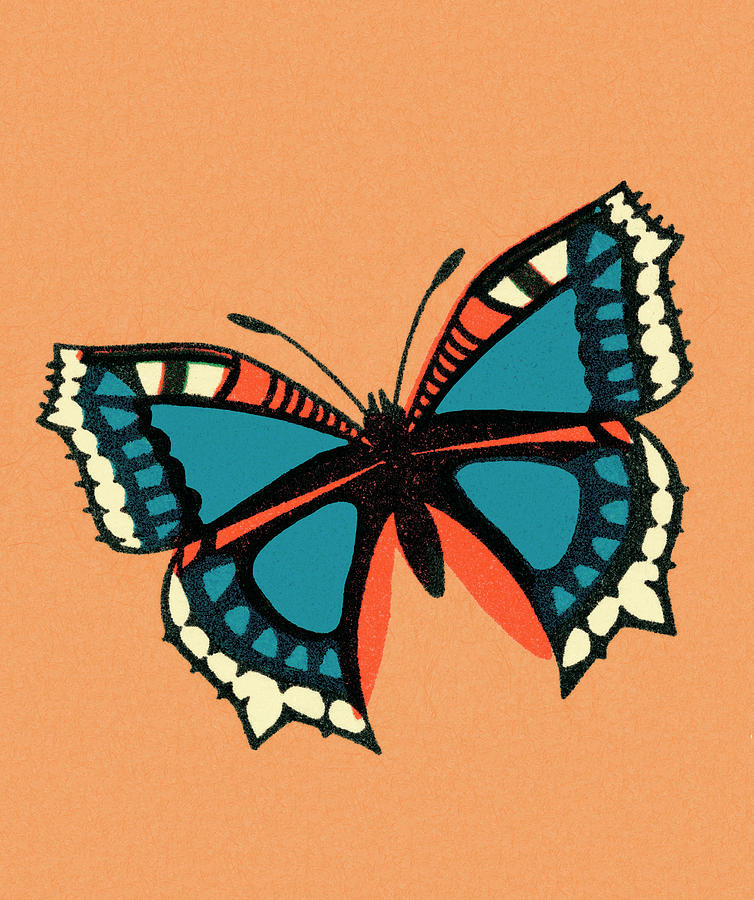 Butterfly Drawing - Butterfly #46 by CSA Images