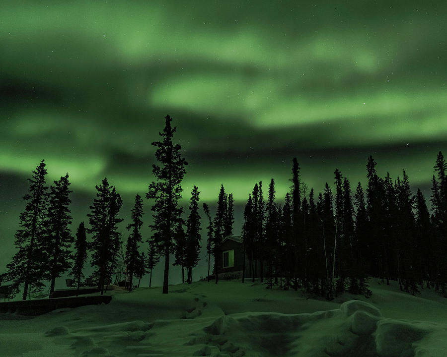 Northern Lights #46 Photograph by Laura Hedien