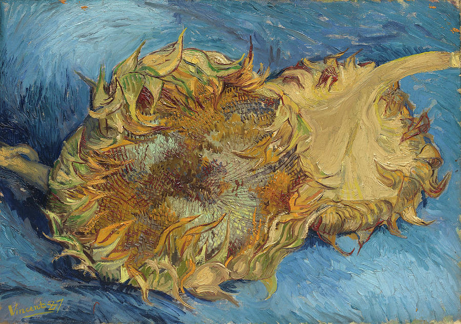 Sunflowers. #46 Painting by Vincent Van Gogh