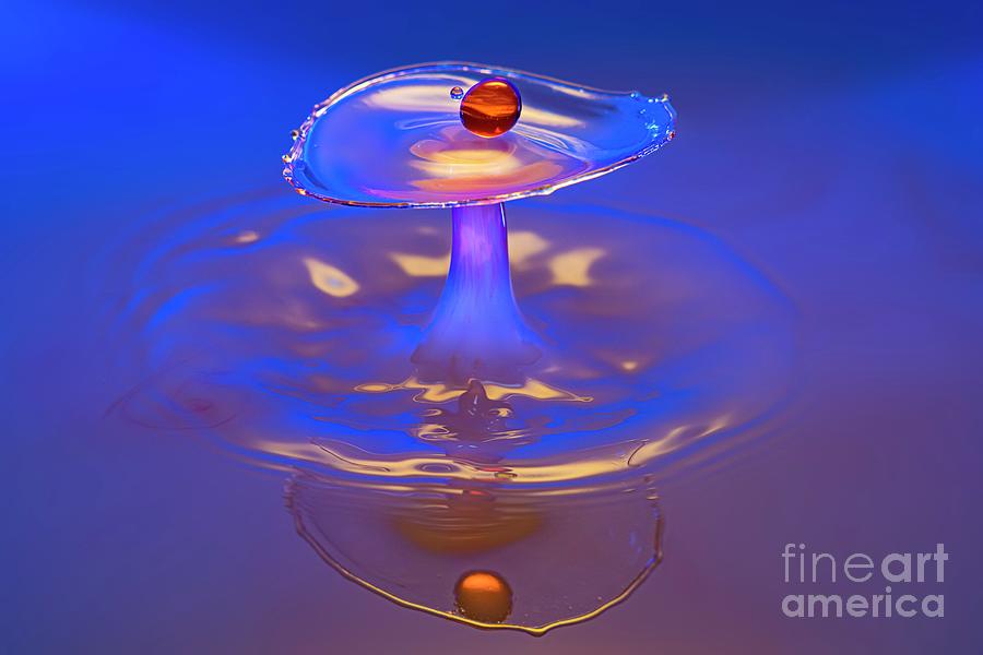 Water Drop Impact #46 Photograph by Frank Fox/science Photo Library