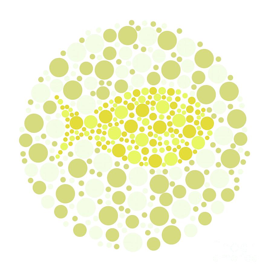 Colour Blindness Test Chart #476 by Science Photo Library