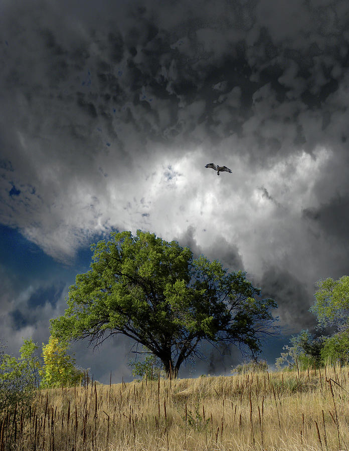 4763 Photograph by Peter Holme III