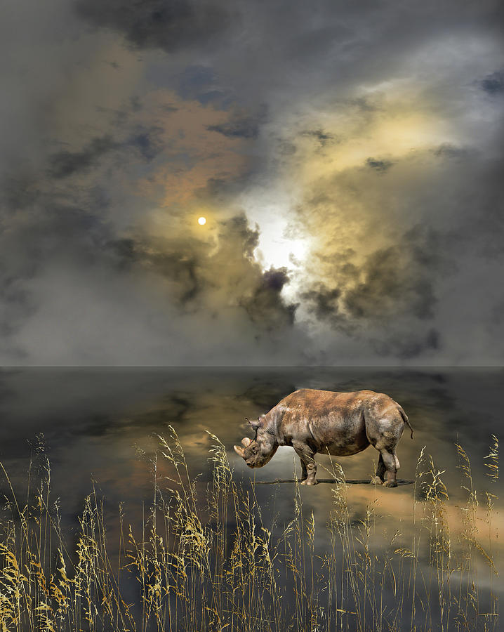 4783 Photograph by Peter Holme III