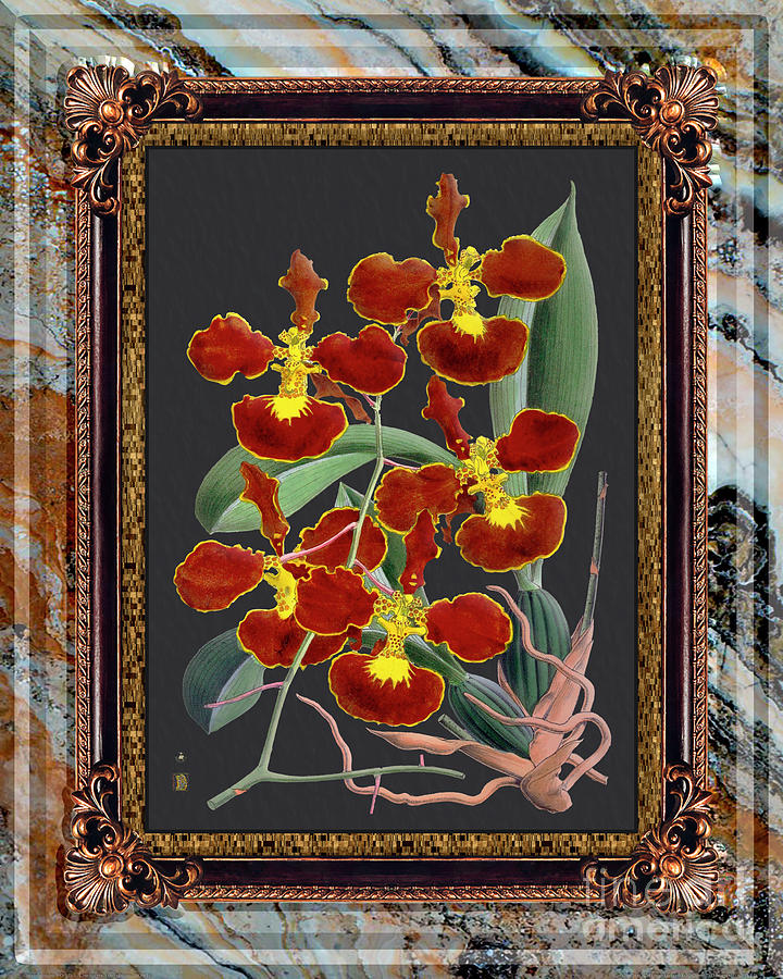 Vintage Orchid Antique Design Onyx Mediceo Painting