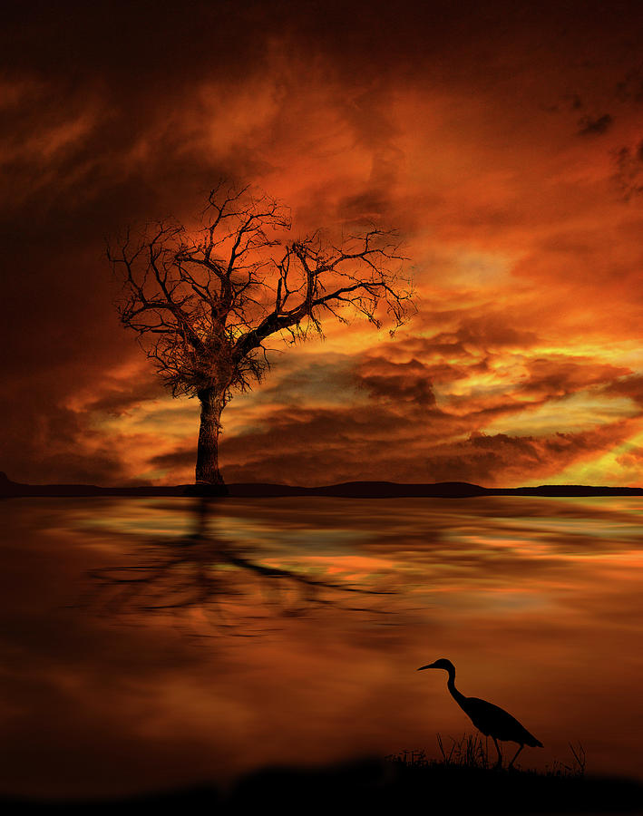 4804 Photograph by Peter Holme III