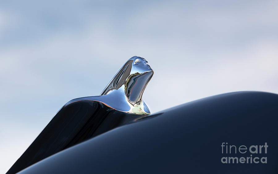 Vintage Photograph - 49 Cadillac Hood Ornament #49 by Dennis Hedberg