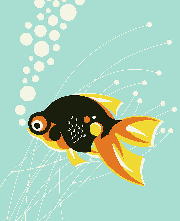Fish Drawing - Fish #49 by CSA Images