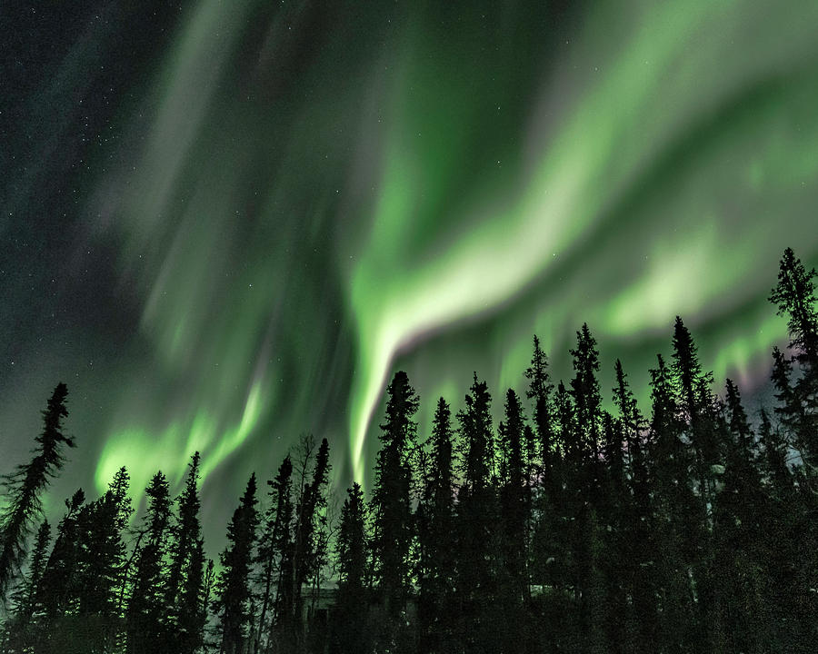 Northern Lights #49 Photograph by Laura Hedien