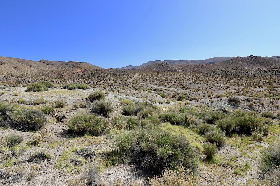 Death Valley National Park Photograph - 4x4 by Maria Jansson Death Valley National Park Photograph - 4x4 by Maria Jansson