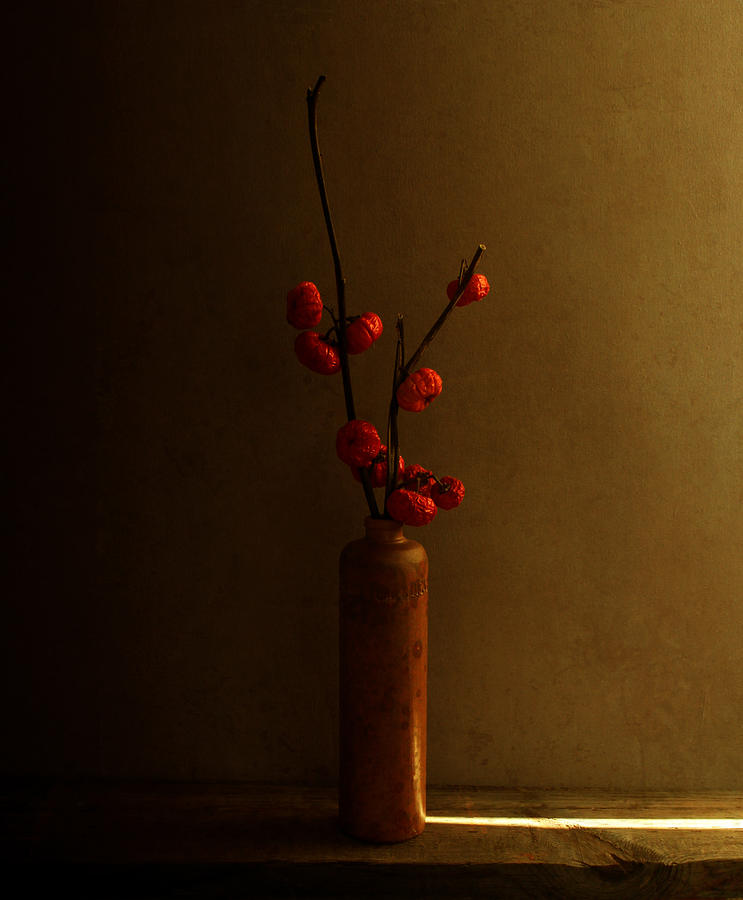 Still Life Photograph -  #5 by Margaret Halaby