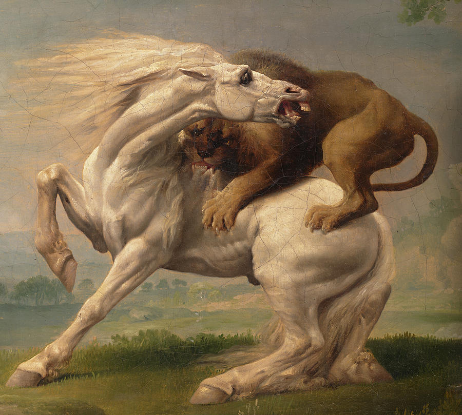 George Stubbs Painting - A lion attacking a horse #5 by George Stubbs