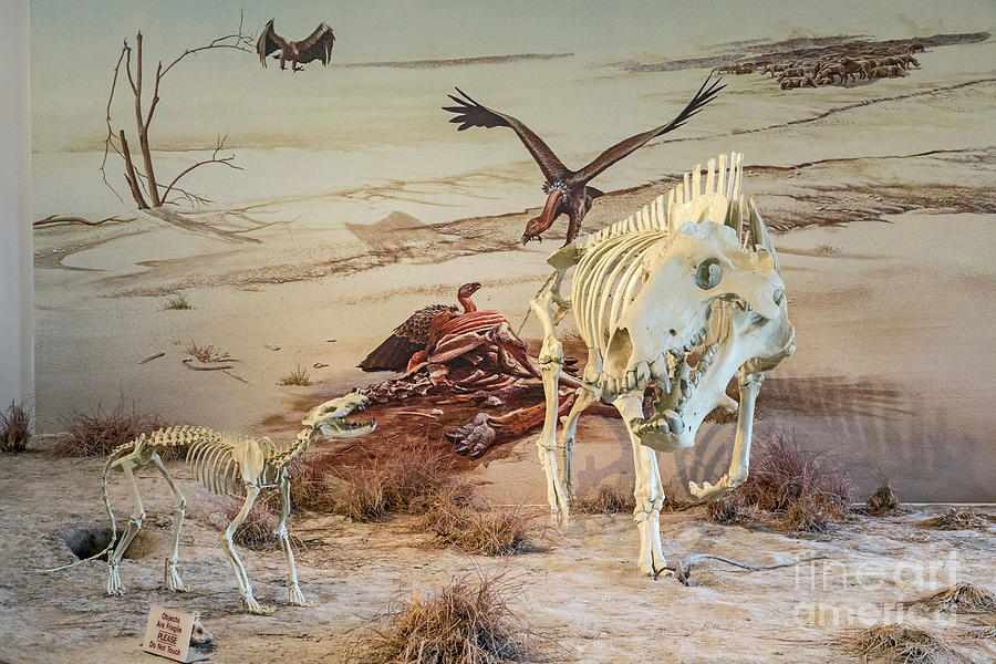 Agate Fossil Beds National Monument #5 Photograph by Jim West/science Photo Library