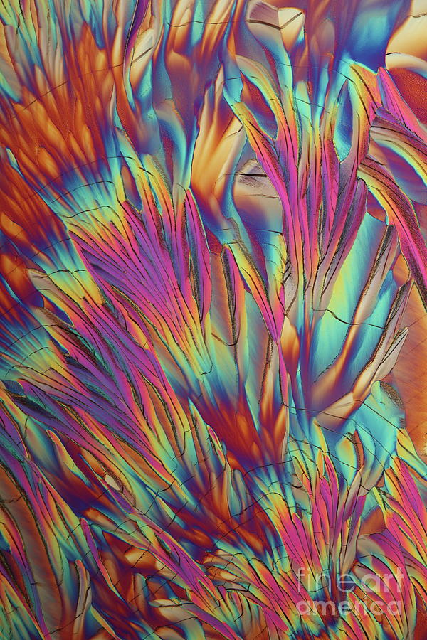 Glutamine Photograph - Alanine And Glutamine Crystals #5 by Karl Gaff / Science Photo Library