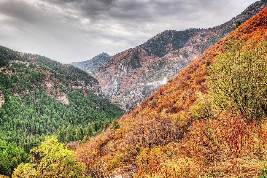 American Fork Canyon #5 Photograph by Brett Engle