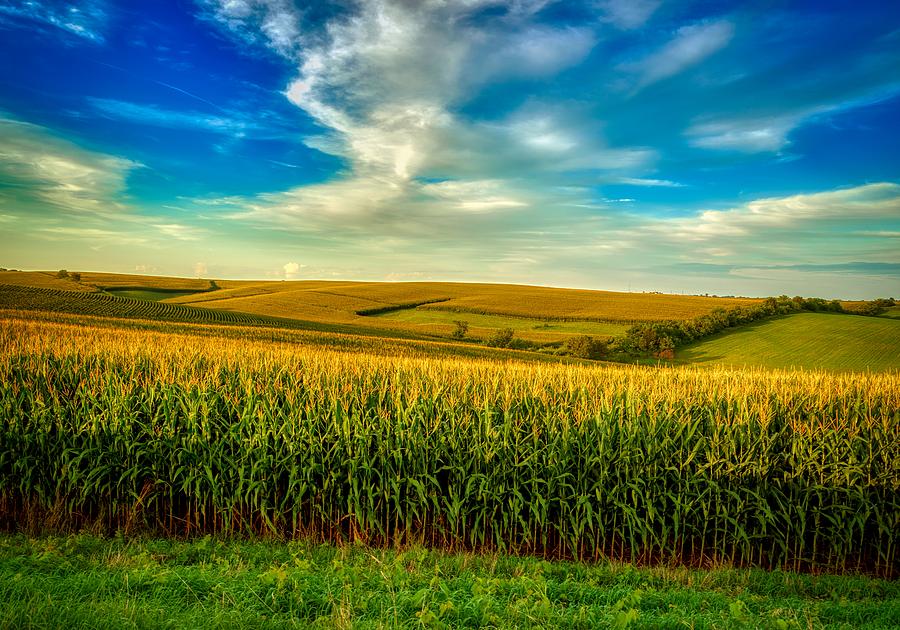 America's Bread Basket #5 Photograph by Mountain Dreams - Fine Art America