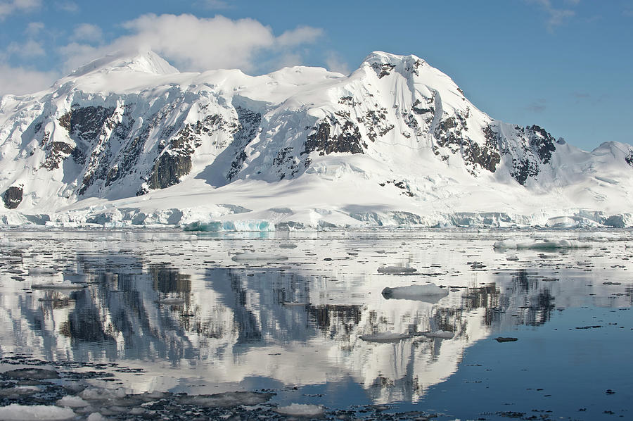 Antarctic Peninsula, Antarctica #5 Photograph by Enrique R. Aguirre Aves