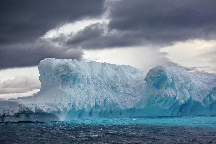 Antarctica, Cruise On Boreal Ship #5 Digital Art By Siegfried Tauqueur 