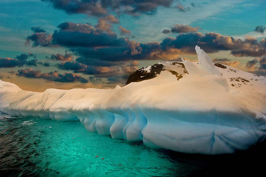 Antarctica #5 Photograph by Michael Leggero