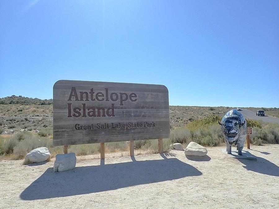 Antelope Island State Park Salt Lake City Utah Photograph