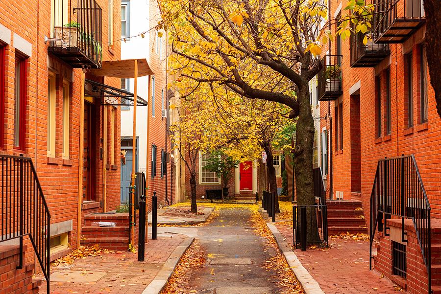 Tree Photograph - Autumn Alleyway In A Traditional #5 by Sean Pavone