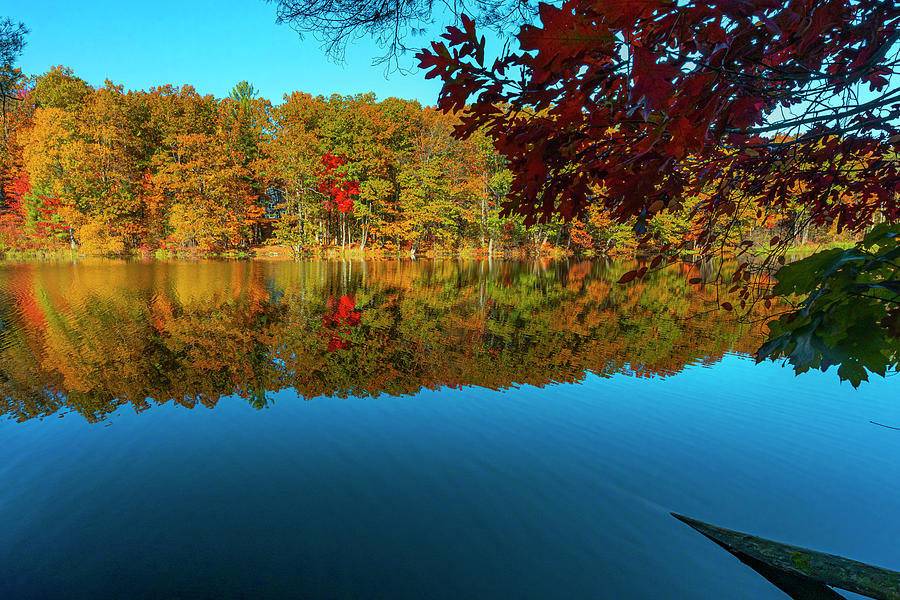 Autumn Foliage, Saratoga Springs Ny #5 Digital Art by Claudia Uripos